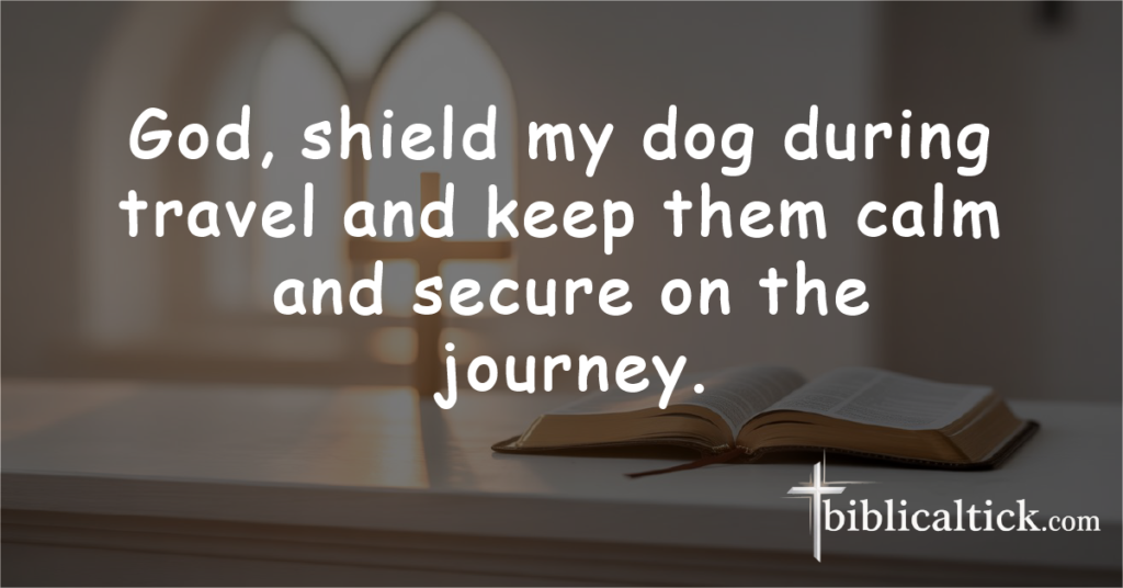 Prayer: God, shield my dog during travel and keep them calm and secure on the journey.
