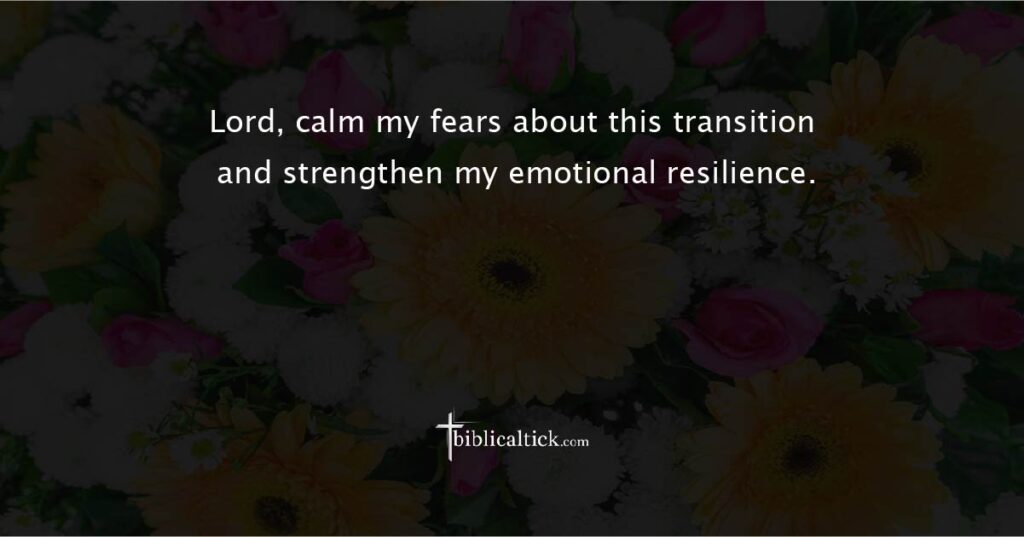 Prayer for Emotional Well-Being

Prayer: Lord, calm my fears about this transition and strengthen my emotional resilience.