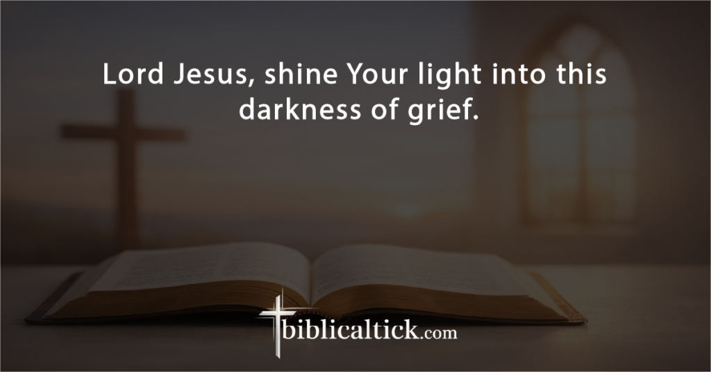 Prayer:
Lord Jesus, shine Your light into this darkness of grief.