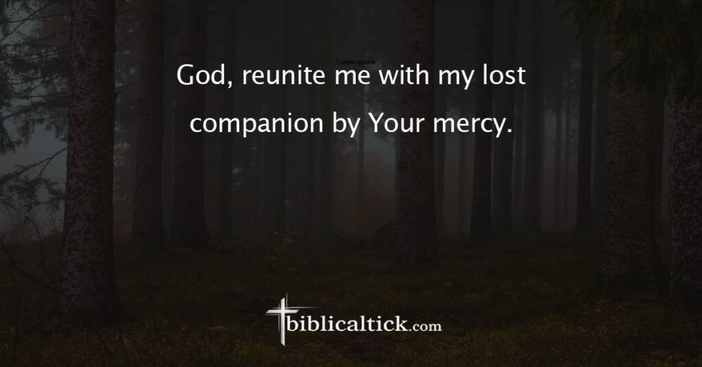 Prayer
 God, reunite me with my lost companion by Your mercy.
