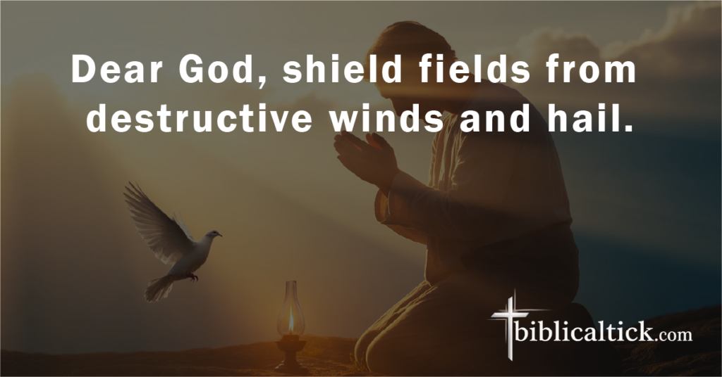 Prayer:
Dear God, shield fields from destructive winds and hail.