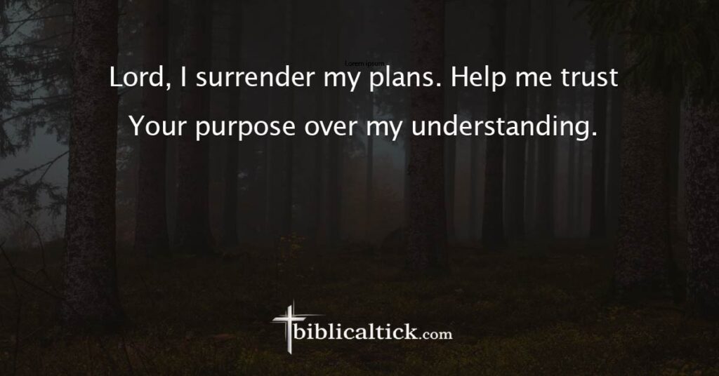 Prayer:
Lord, I surrender my plans. Help me trust Your purpose over my understanding.