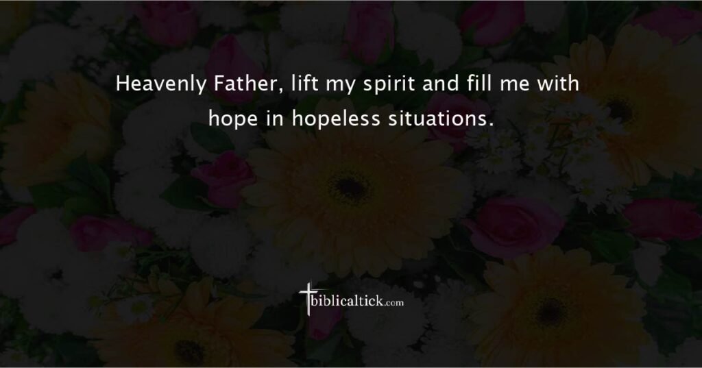 Prayer for Hope in Despair
Prayer: Heavenly Father, lift my spirit and fill me with hope in hopeless situations.
