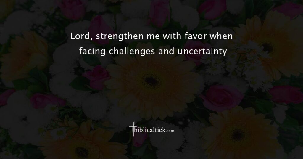 Prayer for Strength During Adversity
Prayer: Lord, strengthen me with favor when facing challenges and uncertainty.