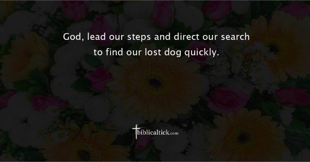 Prayer for Clear Guidance

Prayer: God, lead our steps and direct our search to find our lost dog quickly.