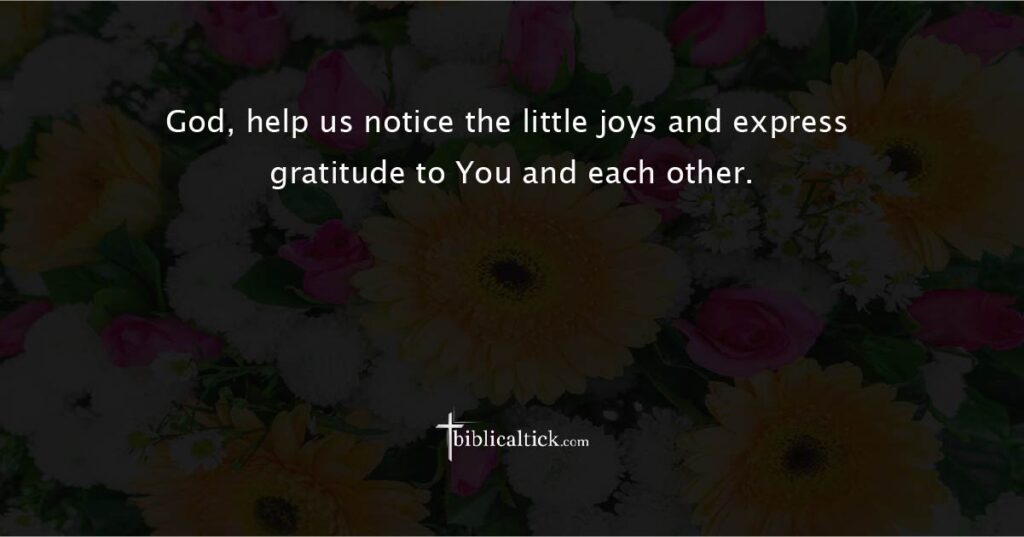 Prayer for Grateful Hearts
“God, help us notice the little joys and express gratitude to You and each other.”