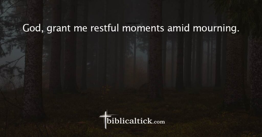Prayer
 God, grant me restful moments amid mourning.