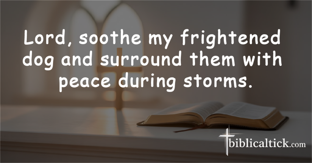Prayer: Lord, soothe my frightened dog and surround them with peace during storms.
