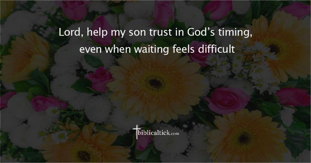 Prayer for God’s Timing

Prayer: Lord, help my son trust in God’s timing, even when waiting feels difficult.