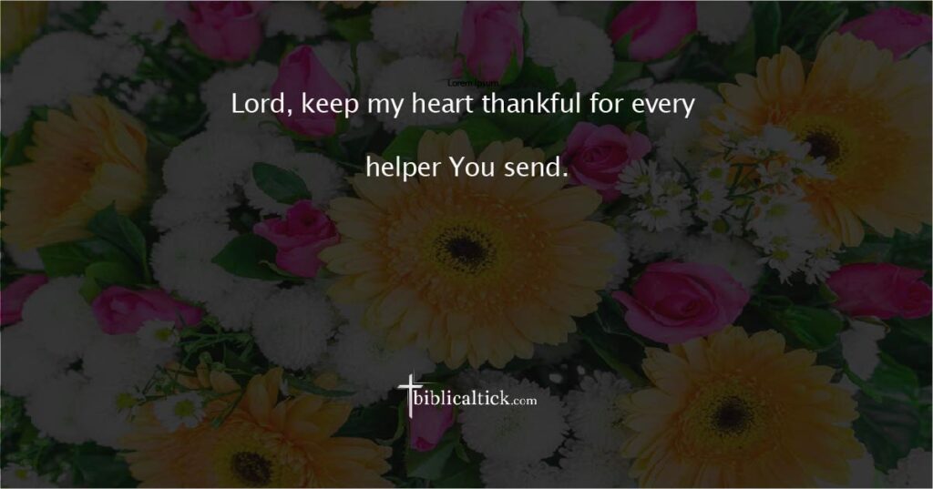 Prayer for Thankfulness

Prayer: Lord, keep my heart thankful for every helper You send.
