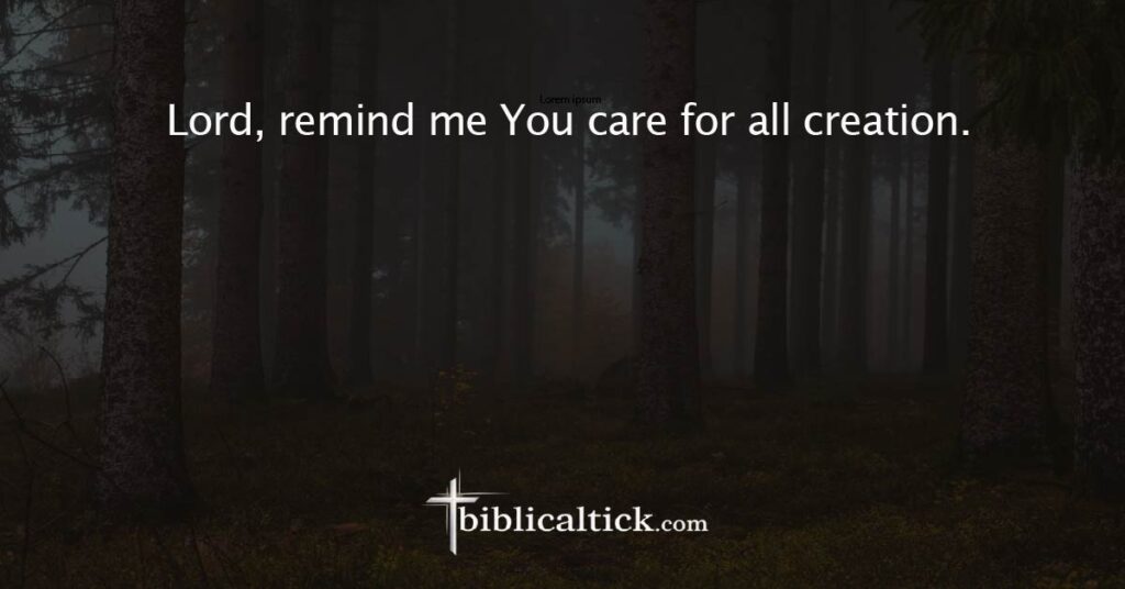  Prayer
 Lord, remind me You care for all creation.