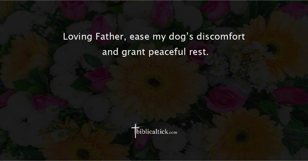 Prayer for a Dog Near the End of Life

Prayer: Loving Father, ease my dog’s discomfort and grant peaceful rest.
