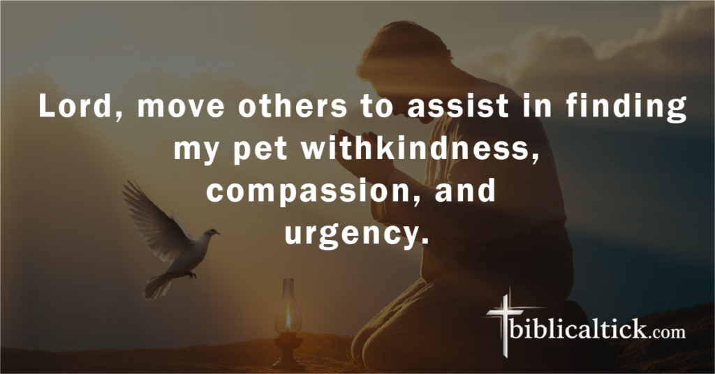 Prayer: Lord, move others to assist in finding my pet withkindness, compassion, and urgency.