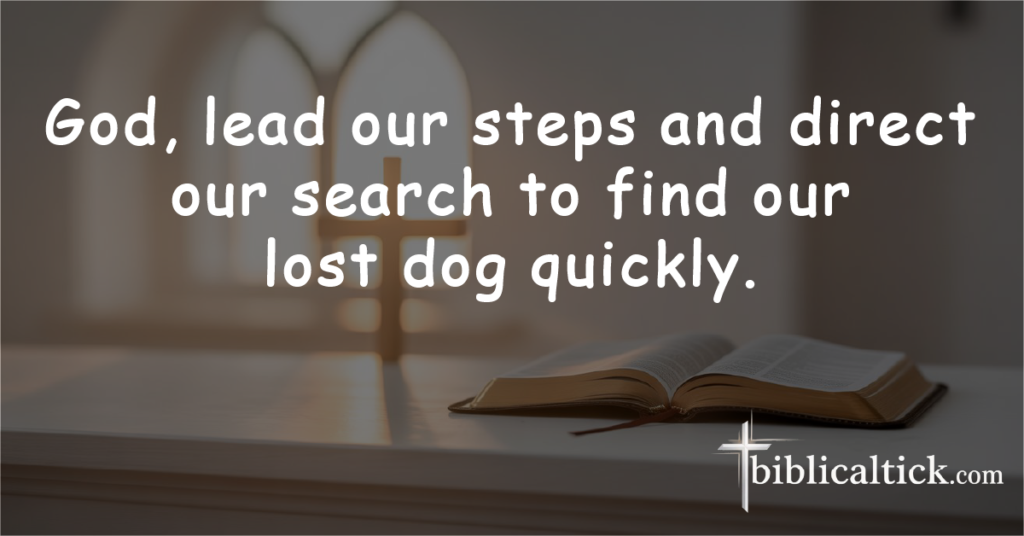 Prayer: God, lead our steps and direct our search to find our lost dog quickly.
