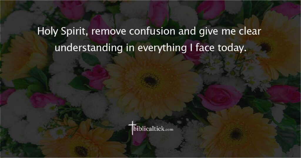 Prayer for Clarity

Holy Spirit, remove confusion and give me clear understanding in everything I face today.