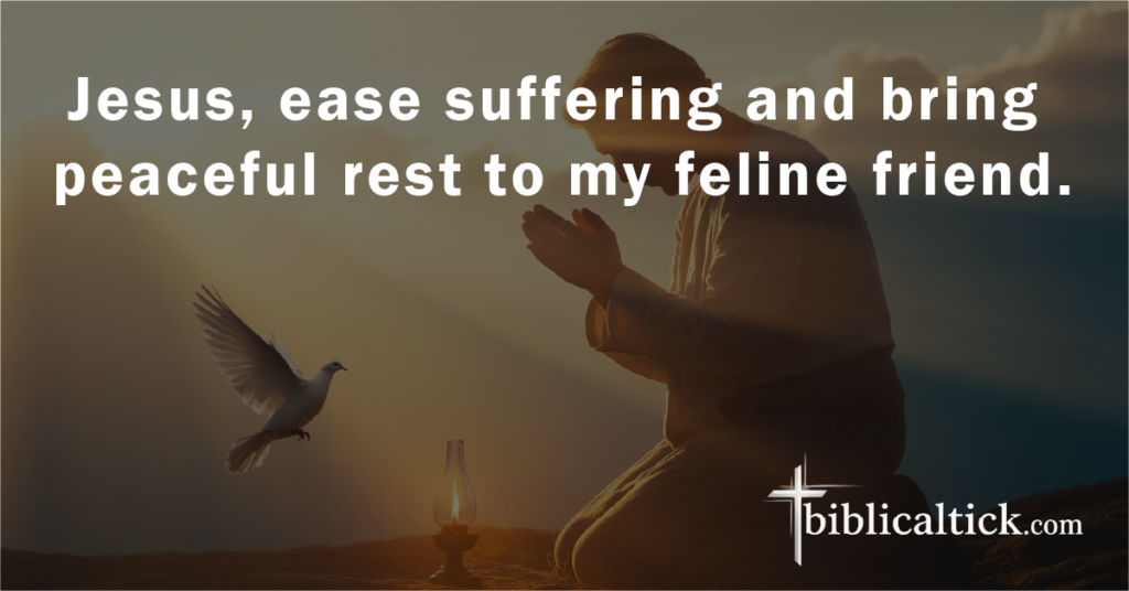 Prayer:
Jesus, ease suffering and bring peaceful rest to my feline friend.