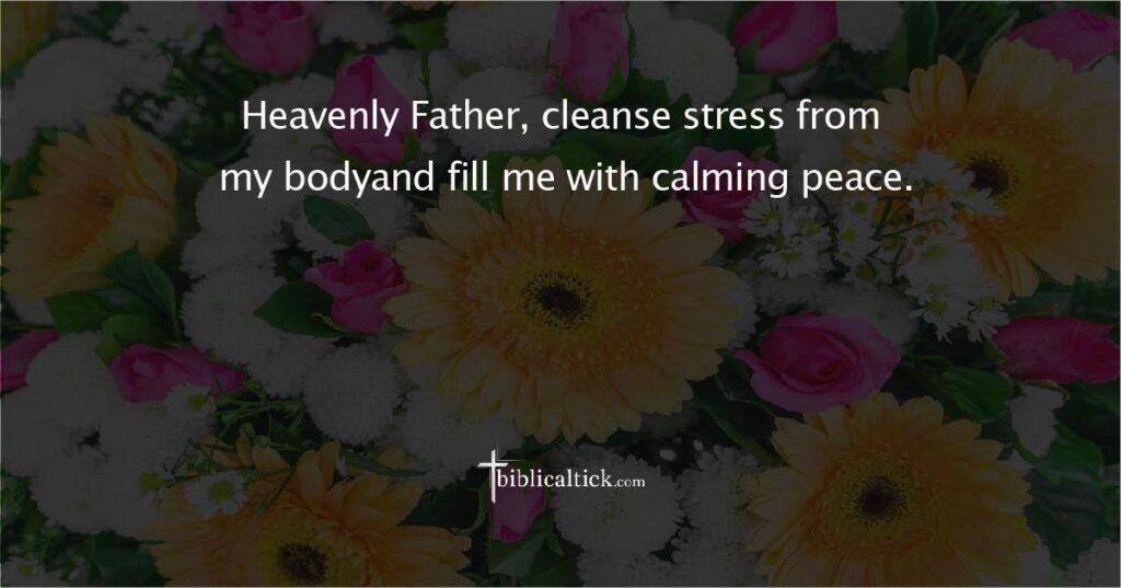 Prayer for Relief from Stress
Prayer: Heavenly Father, cleanse stress from my bodyand fill me with calming peace.