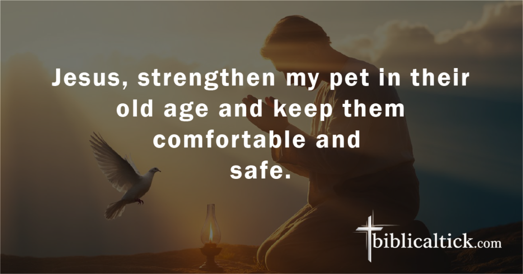Prayer for Pets in Aging Years
Prayer: Jesus, strengthen my pet in their old age and keep them comfortable and safe.
