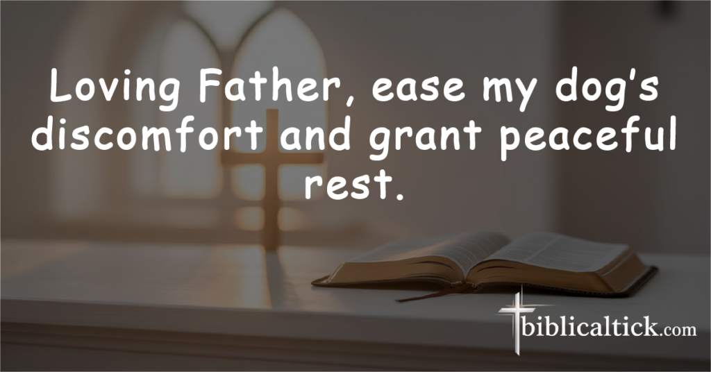 Prayer: Loving Father, ease my dog’s discomfort and grant peaceful rest.
