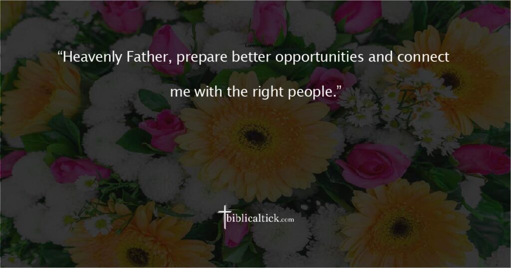 Prayer for New Opportunities

“Heavenly Father, prepare better opportunities and connect me with the right people.”