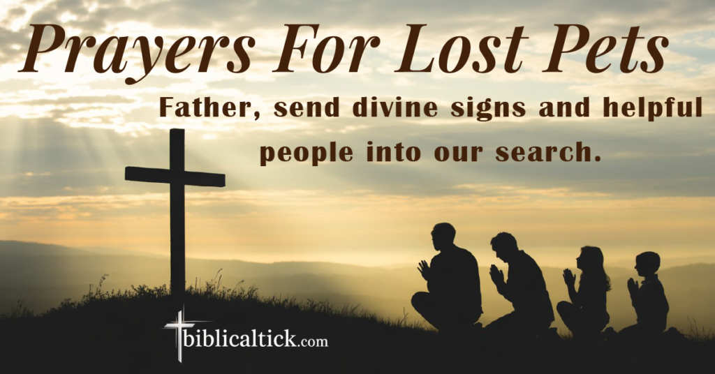 25+ Powerful Prayers For Lost Pets