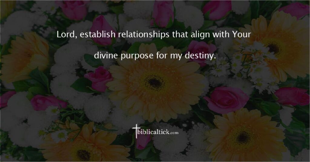 Prayer for Divine Relationships

Prayer: Lord, establish relationships that align with Your divine purpose for my destiny.