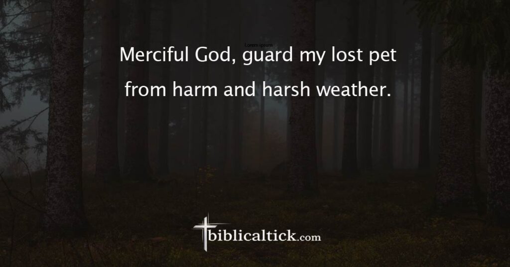 Prayer
 Merciful God, guard my lost pet from harm and harsh weather.