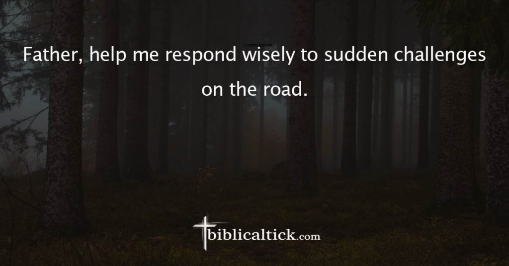 Prayer
Father, help me respond wisely to sudden challenges on the road.