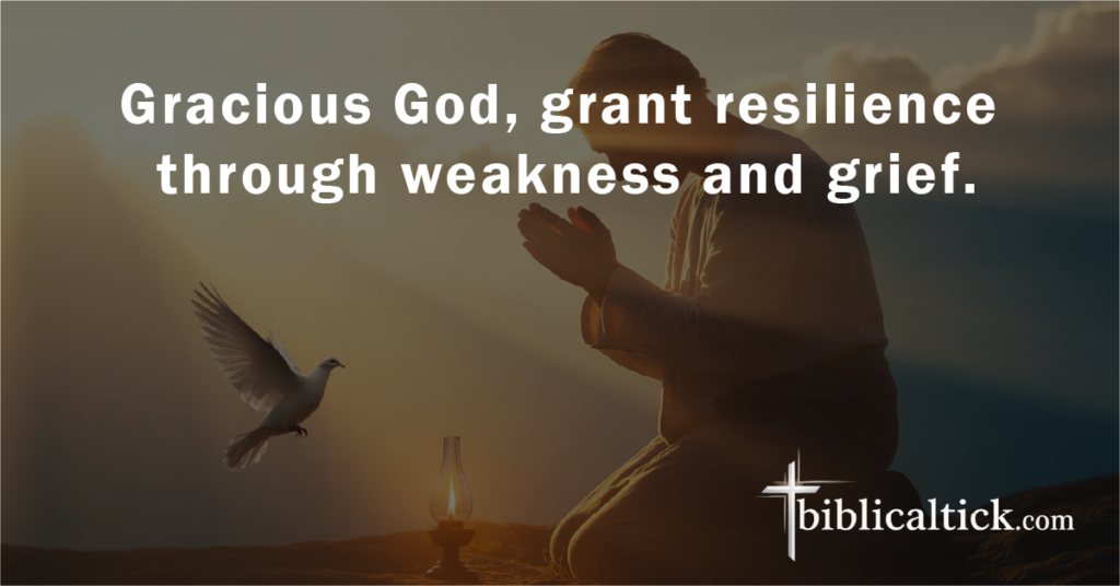 Prayer:
Gracious God, grant resilience through weakness and grief.