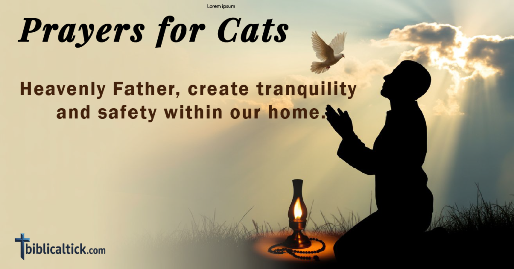 25 Powerful Prayers for Cats