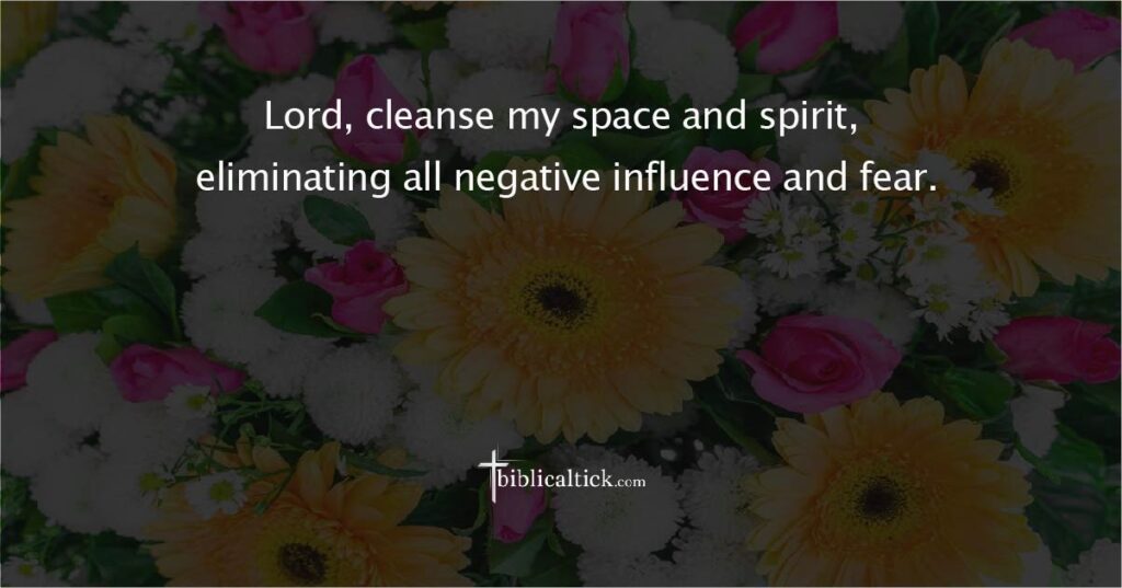 Prayer for Protection from Negative Energy
Lord, cleanse my space and spirit, eliminating all negative influence and fear.