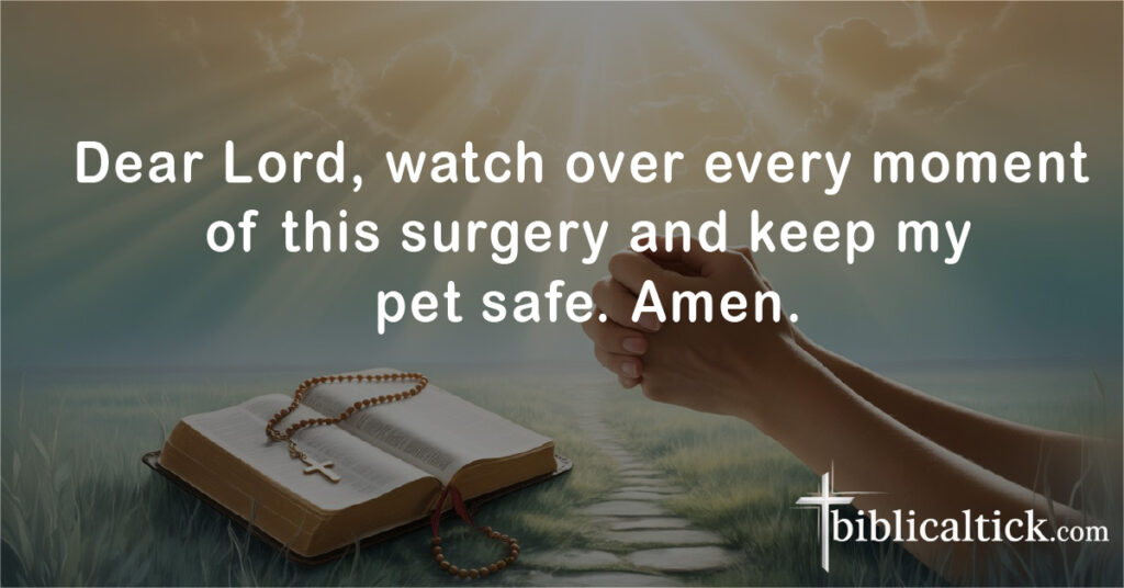 Prayers for Dog
Dear Lord, watch over every moment of this surgery and keep my pet safe. Amen.