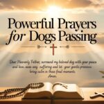 24+ Powerful Prayers For Dogs Passing