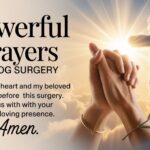 25+ Powerful Prayers For Dog Surgery
