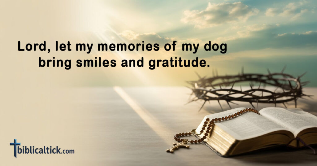 Prayers For Dogs Passing
Lord, let my memories of my dog bring smiles and gratitude.