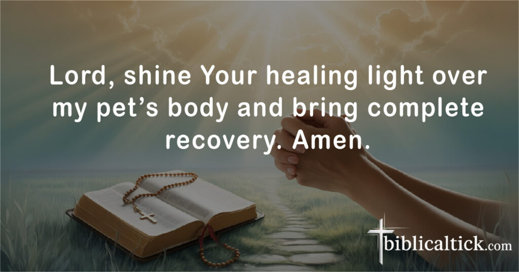 Prayers for Dog
Lord, shine Your healing light over my pet’s body and bring complete recovery. Amen.