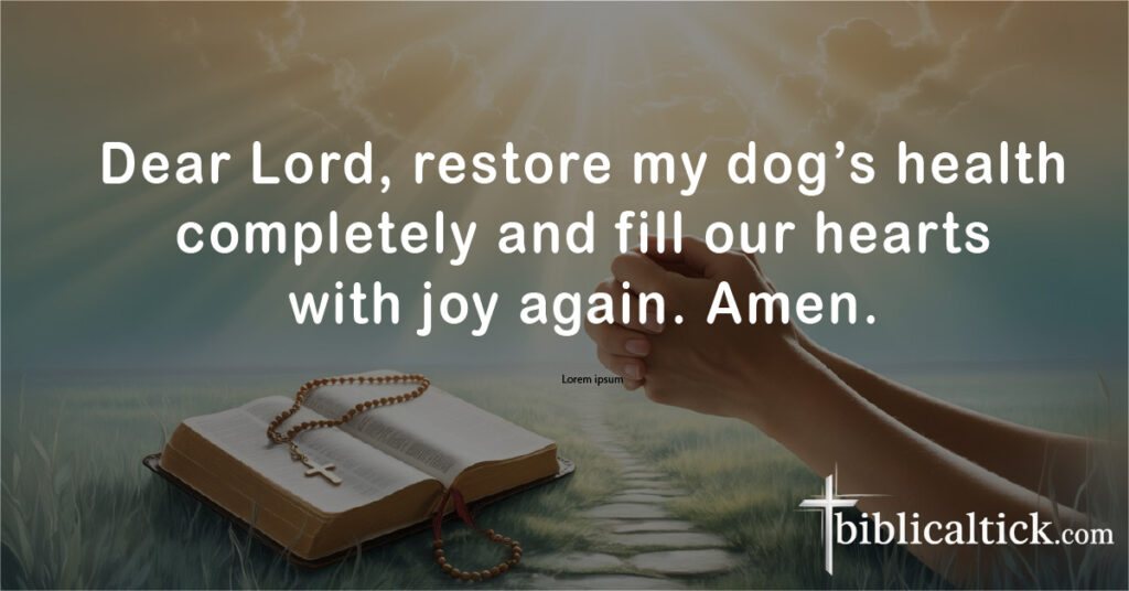 Prayers for Dog
Dear Lord, restore my dog’s health completely and fill our hearts with joy again. Amen.