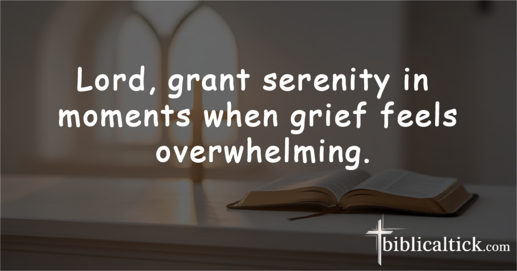 Prayer:
Lord, grant serenity in moments when grief feels overwhelming.