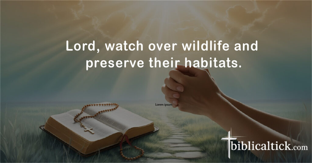 Prayers For Animals
Lord, watch over wildlife and preserve their habitats.