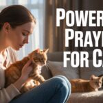 25+ Powerful Prayers For Cats