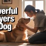 25+ Powerful Prayers For Dogs