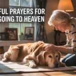 25+ Powerful Prayers For Dogs Going To Heaven