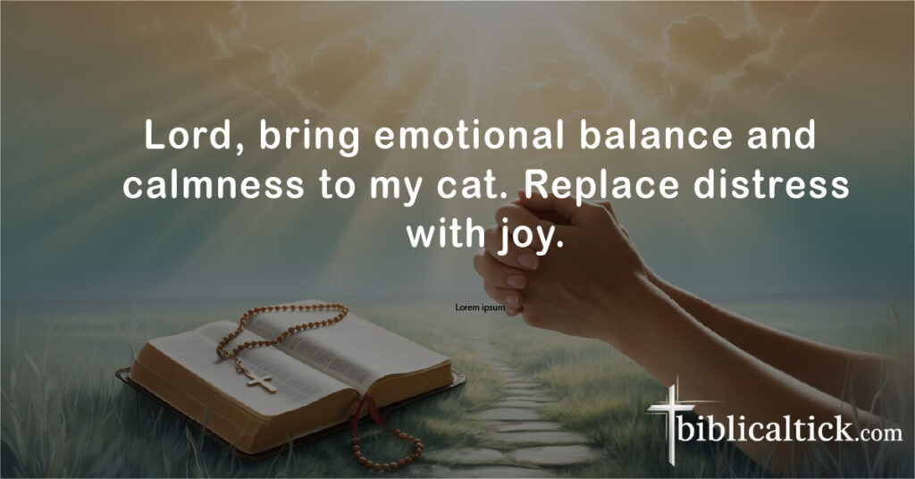 Prayers For Cats
Lord, bring emotional balance and calmness to my cat. Replace distress with joy.
