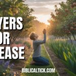 25+ Powerful Prayers For Increase