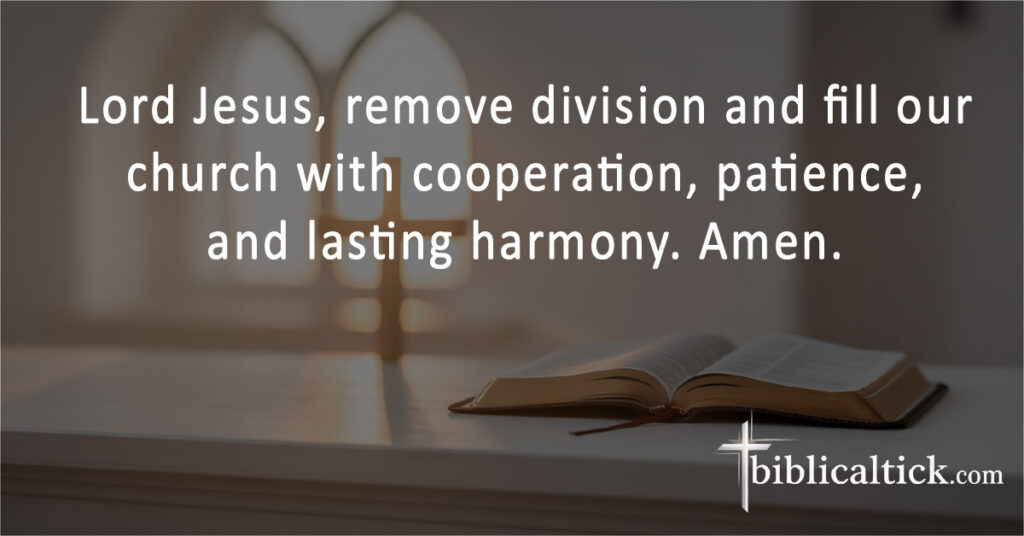 Lord Jesus, remove division and fill our church with cooperation, patience, and lasting harmony. Amen.