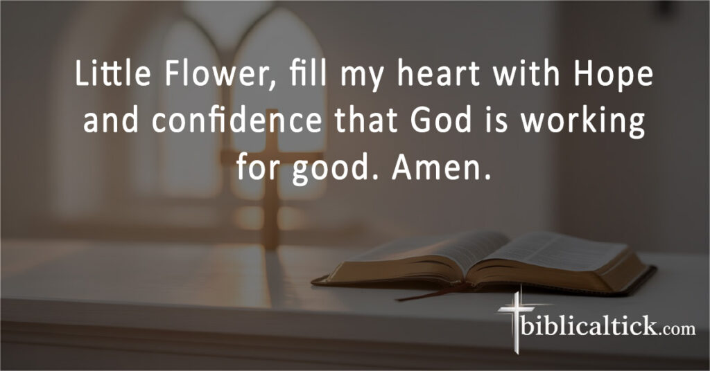Little Flower, fill my heart with Hope and confidence that God is working for good. Amen.