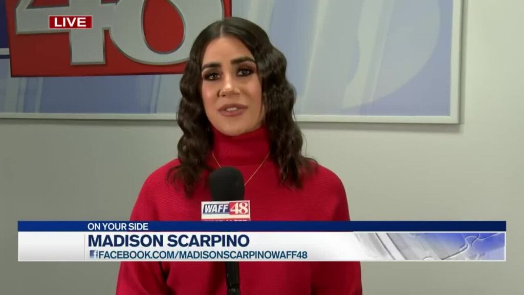 Madison Scarpino: FOX News Correspondent, Career Timeline, Net Worth & Personal Life